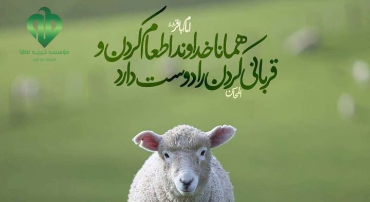 گزارش قربانی ۱۱راس گوسفند برای عید قربان ۱۴۰۳